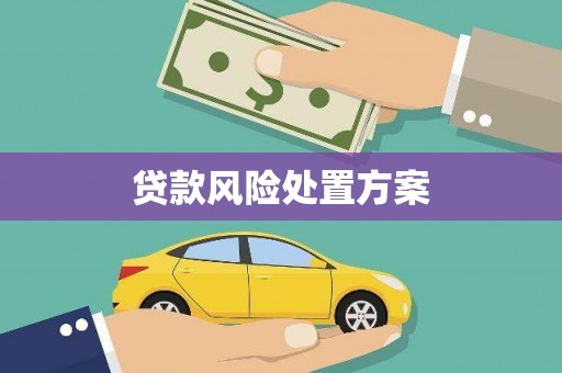 普格贷款风险处置方案