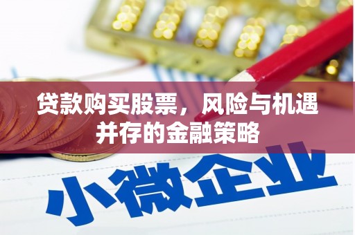 普格贷款购买股票，风险与机遇并存的金融策略