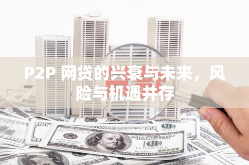 普格P2P 网贷的兴衰与未来，风险与机遇并存