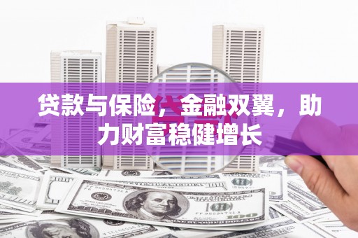普格贷款与保险，金融双翼，助力财富稳健增长