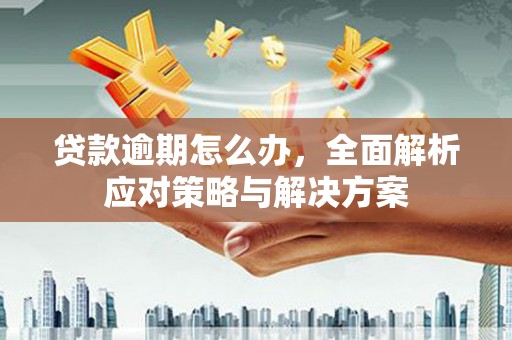 普格贷款逾期怎么办，全面解析应对策略与解决方案