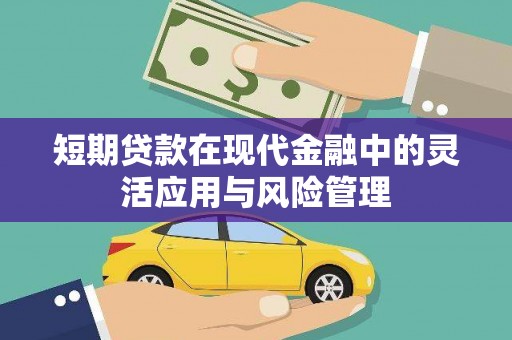 普格短期贷款在现代金融中的灵活应用与风险管理