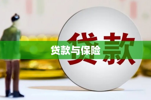 普格贷款与保险