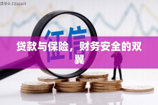普格贷款与保险，财务安全的双翼