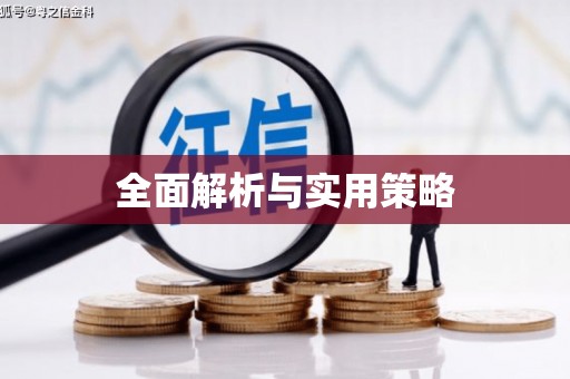 普格全面解析与实用策略