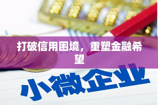 普格打破信用困境，重塑金融希望