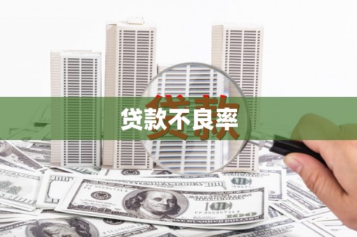 普格贷款不良率
