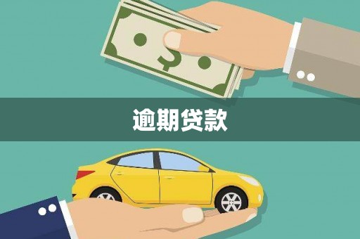 普格逾期贷款