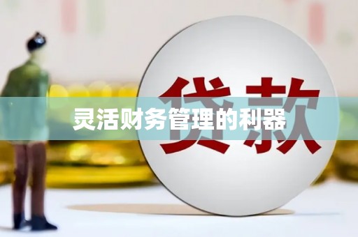 普格灵活财务管理的利器