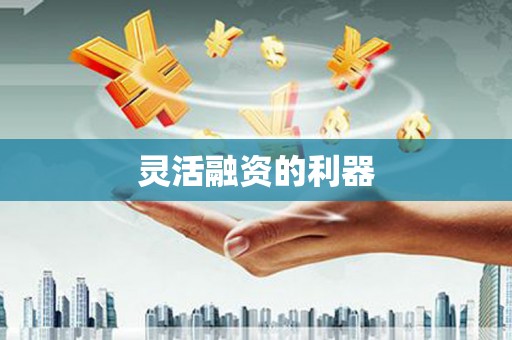 普格灵活融资的利器