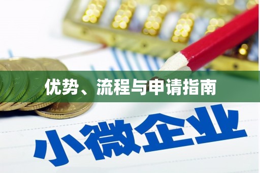 普格优势、流程与申请指南