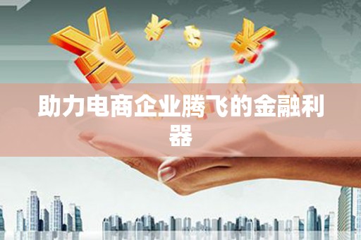 普格助力电商企业腾飞的金融利器