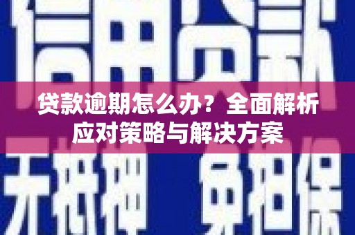 普格贷款逾期怎么办？全面解析应对策略与解决方案