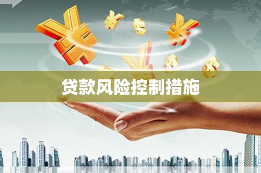 普格贷款风险控制措施