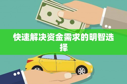 普格快速解决资金需求的明智选择