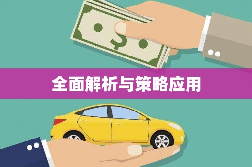 普格全面解析与策略应用