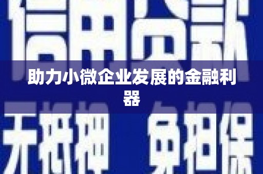 普格助力小微企业发展的金融利器