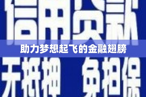 普格助力梦想起飞的金融翅膀