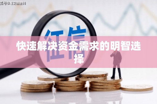 普格快速解决资金需求的明智选择