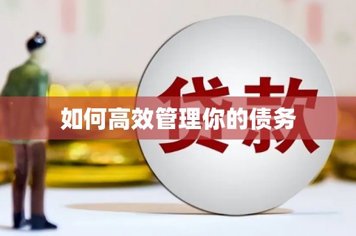 普格如何高效管理你的债务