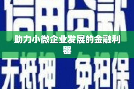 普格助力小微企业发展的金融利器