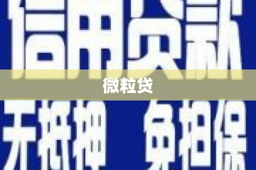 普格微粒贷