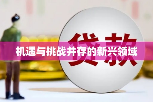 普格机遇与挑战并存的新兴领域