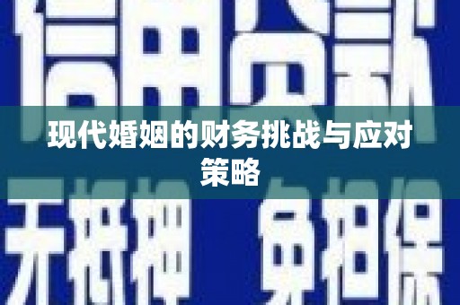 普格现代婚姻的财务挑战与应对策略