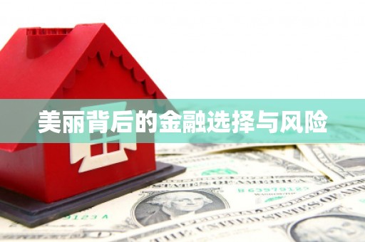 普格美丽背后的金融选择与风险