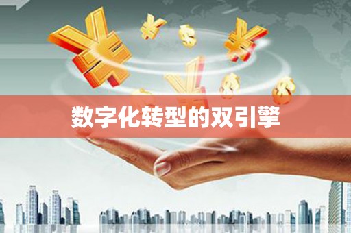 普格数字化转型的双引擎