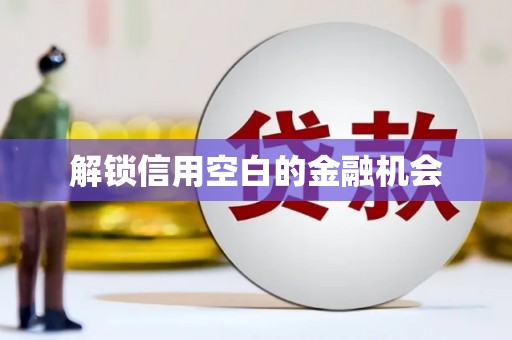 普格解锁信用空白的金融机会
