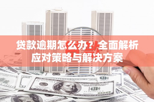 普格贷款逾期怎么办？全面解析应对策略与解决方案
