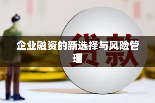 普格企业融资的新选择与风险管理