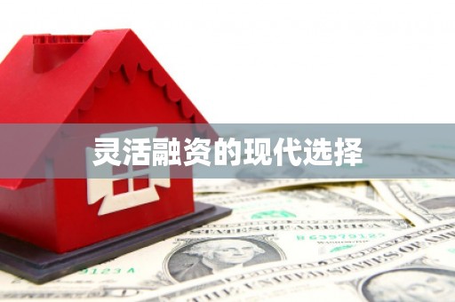 普格灵活融资的现代选择