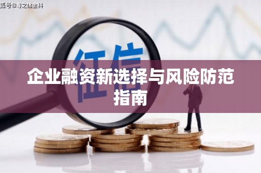 普格企业融资新选择与风险防范指南