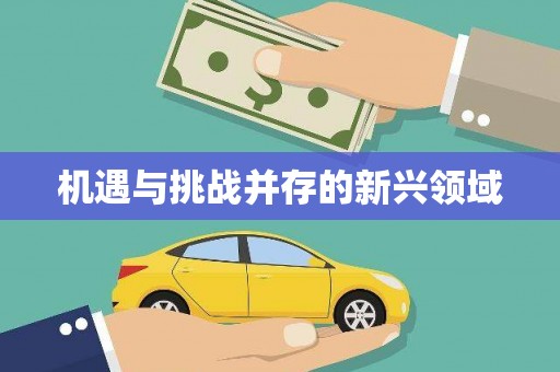 普格机遇与挑战并存的新兴领域