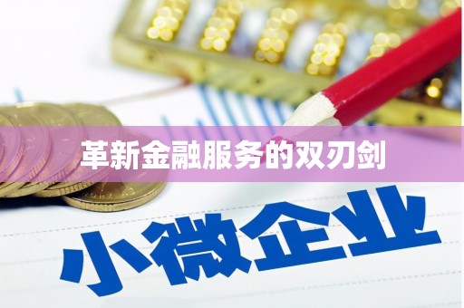 普格革新金融服务的双刃剑