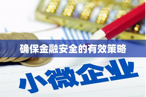 普格确保金融安全的有效策略