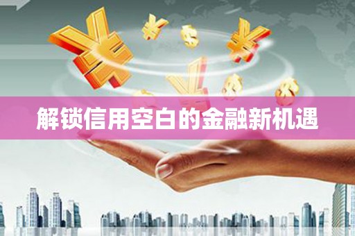 普格解锁信用空白的金融新机遇