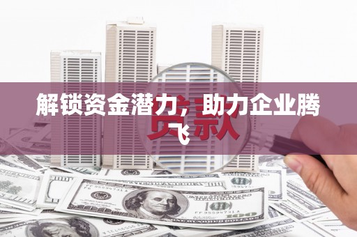 普格解锁资金潜力，助力企业腾飞