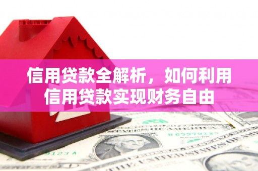 普格信用贷款全解析，如何利用信用贷款实现财务自由
