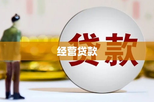 普格经营贷款