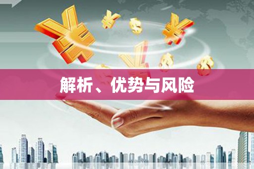 普格解析、优势与风险