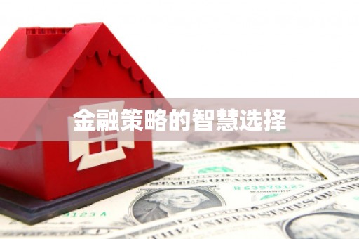 普格金融策略的智慧选择