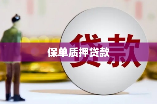 普格保单质押贷款