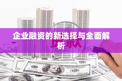 普格企业融资的新选择与全面解析