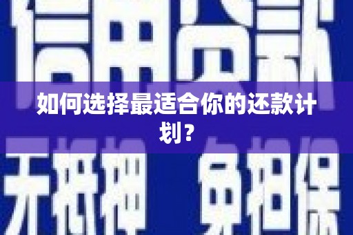 普格如何选择最适合你的还款计划？