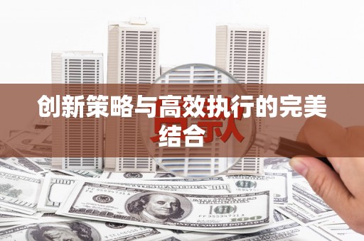 普格创新策略与高效执行的完美结合