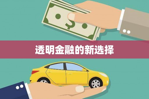 普格透明金融的新选择