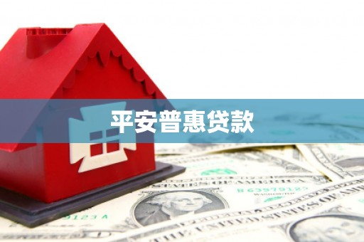 普格平安普惠贷款
